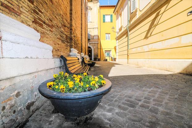 Sole&MareMarche - Senigallia | Subito