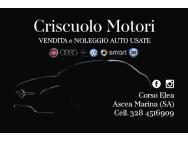 CRISCUOLO MOTORI logo