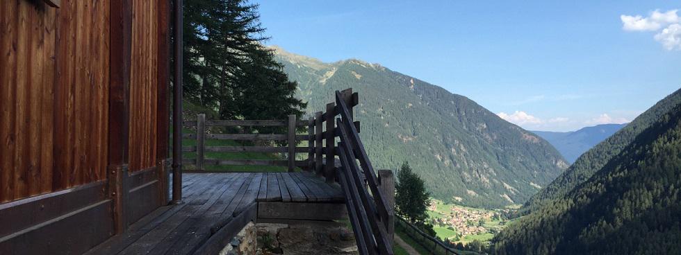 AGENZIA IMMOBILIARE TORRE VERDE