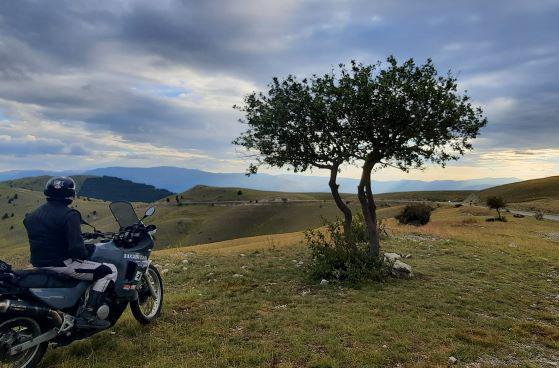 EX Motoris - Parma | Subito