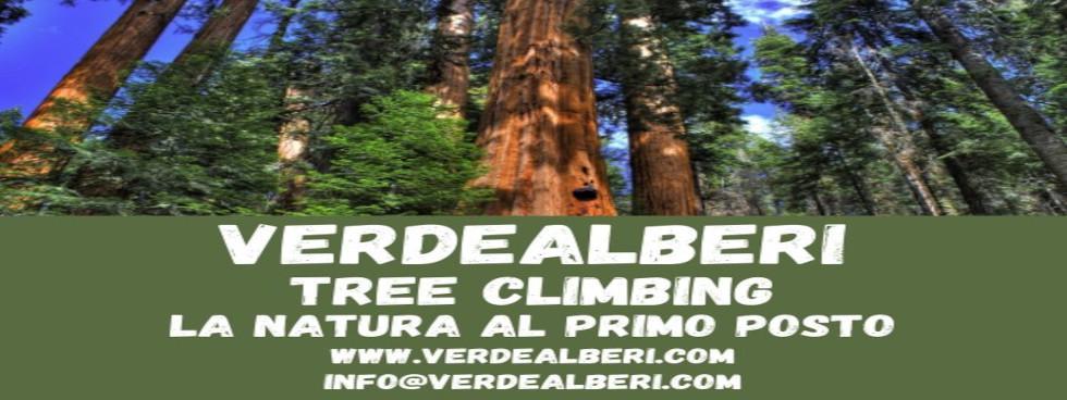 VerdeAlberi