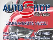 AUTOSHOP DI ELIO CAPALBO logo
