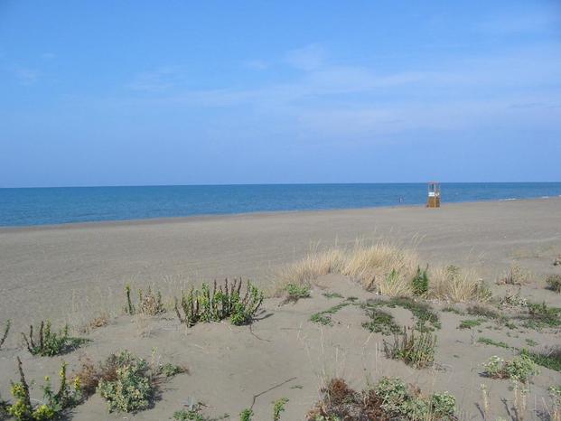 IMMOBILIARE CASA&MARE DI GANI CLAUDIO & C. SAS - Castagneto Carducci | Subito