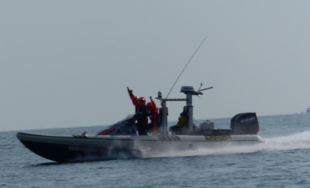 AVILARHIBS - Lomagna | Subito