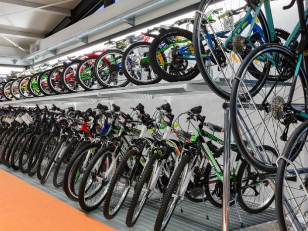 Riccio centro bici - Latina | Subito