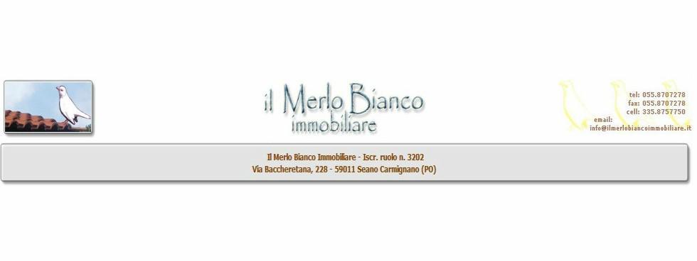 il merlo bianco immobiliare di Gianni Traversi