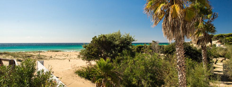 ThePuglia Immobiliare
