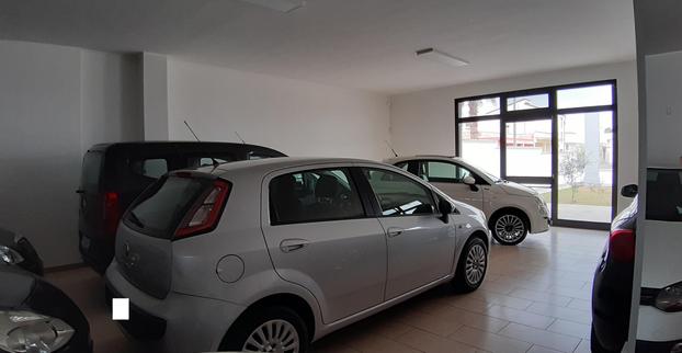 Speed Auto - Veglie | Subito