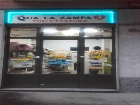 Qua La Zampa - Toelettatura e Allevamento - Torino | Subito