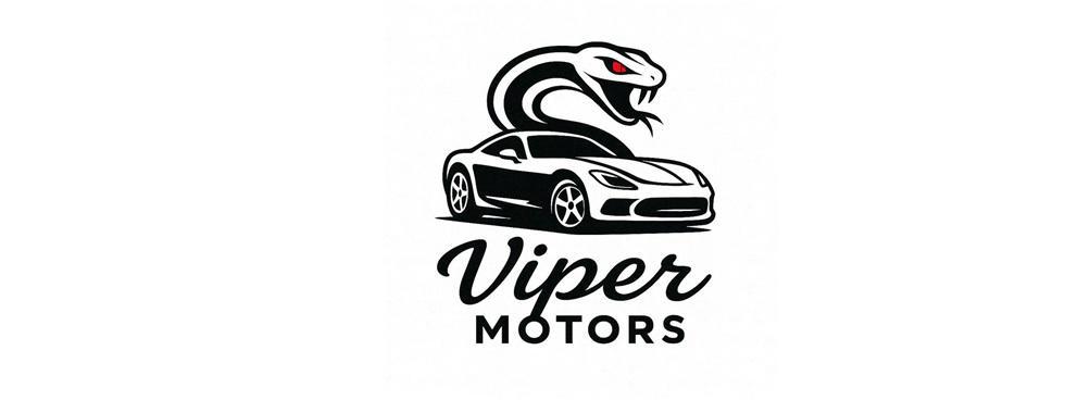 VIPER MOTORS