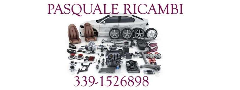 PASQUALE RICAMBI 3391526898 DEMOLIZIONE