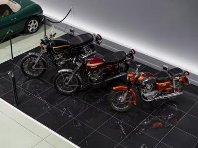 BIGA GARAGE - Crespina Lorenzana | Subito