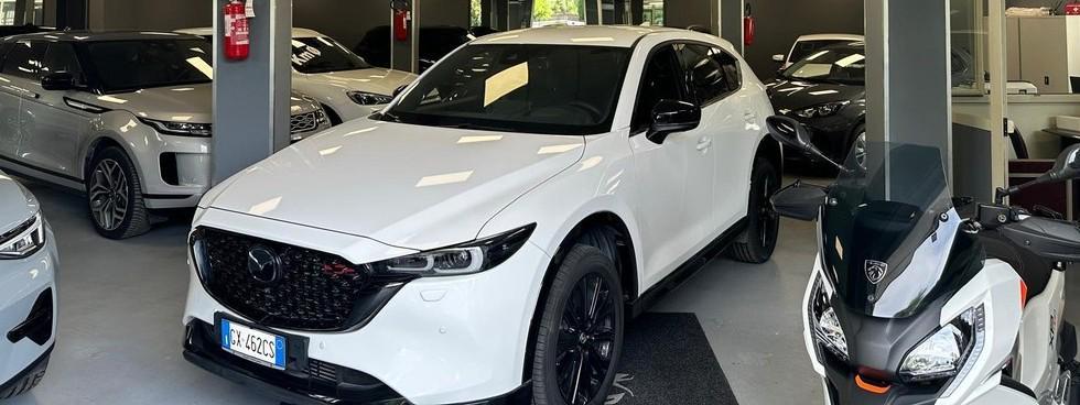 Esseffe Motors Group