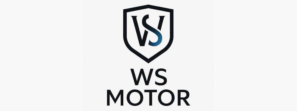 ws motor srl
