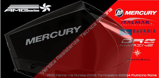 AMG Marine - Fiumicino | Subito