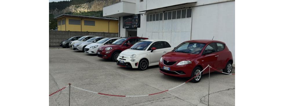 DM MOTORS