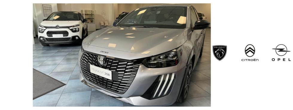 FRATELLI FRIGI automobili