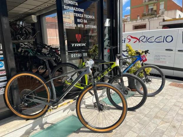 Riccio centro bici - Latina | Subito