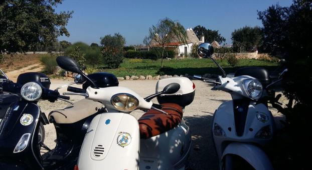 ROAD RUNNER SCOOTER RENT - Ostuni | Subito