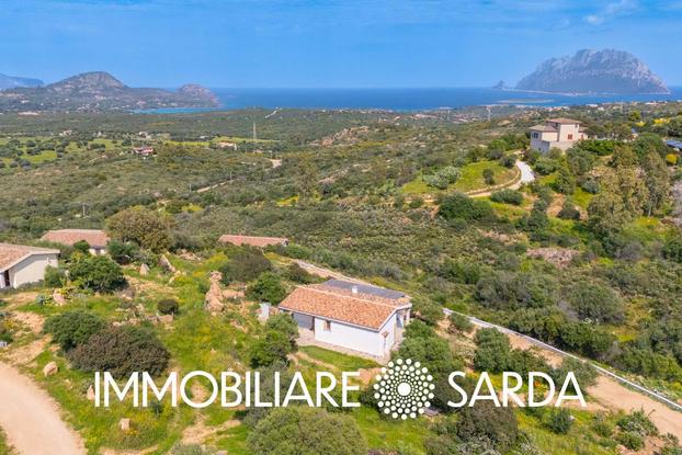 IMMOBILIARE SARDA - Olbia | Subito