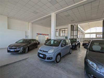 AUTOSTORE S.R.L. - Cerignola | Subito