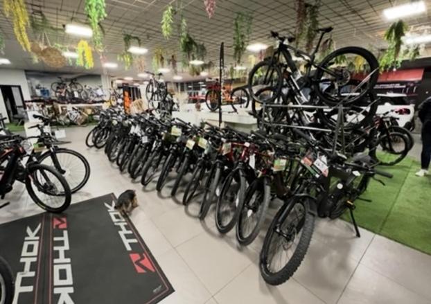 Andrea Larini Group Srl - Massarosa | Subito