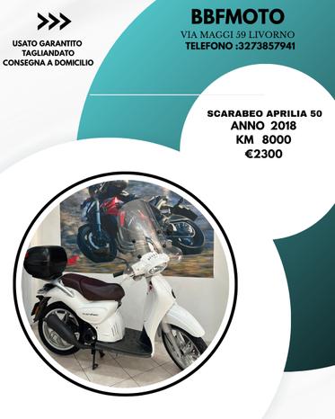 BBFMOTO - Livorno | Subito