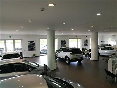 Asprino srl - Praia a Mare | Subito