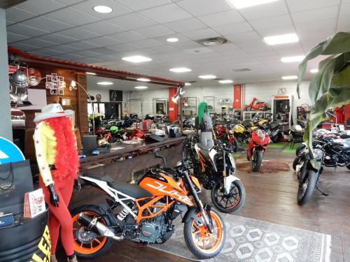 RossoCorseMoto - Pistoia | Subito