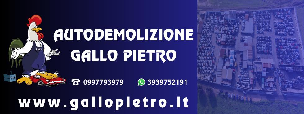 AUTODEMOLIZIONE GALLO PIETRO