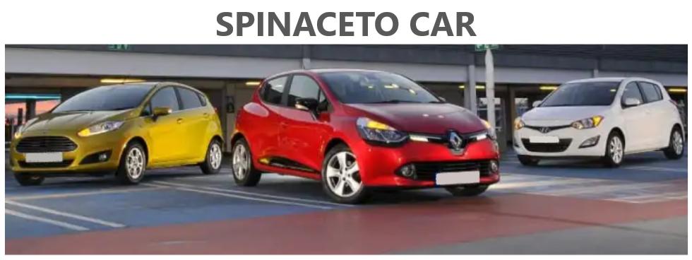 SPINACETO CAR SRLS