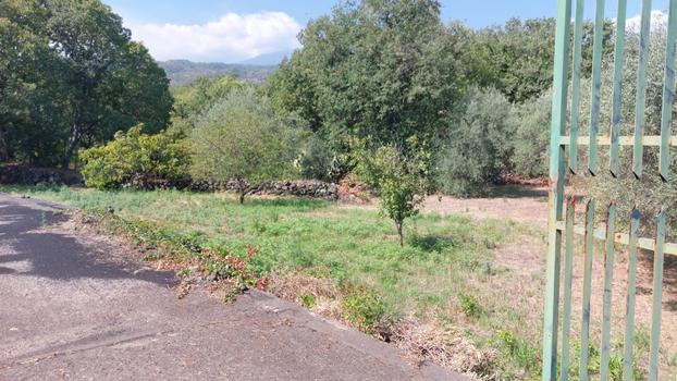 Agenzia Immobiliare Belvedere - Piedimonte Etneo | Subito