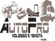 Auto Pro logo