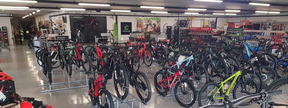 Dream Team Bike Service