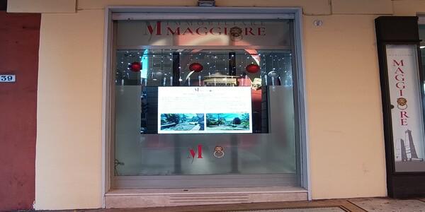 Immobiliare Maggiore - Bologna | Subito