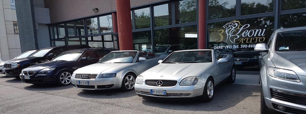 3 leoni auto