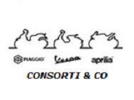 CONSORTI & CO. S.R.L.S. logo