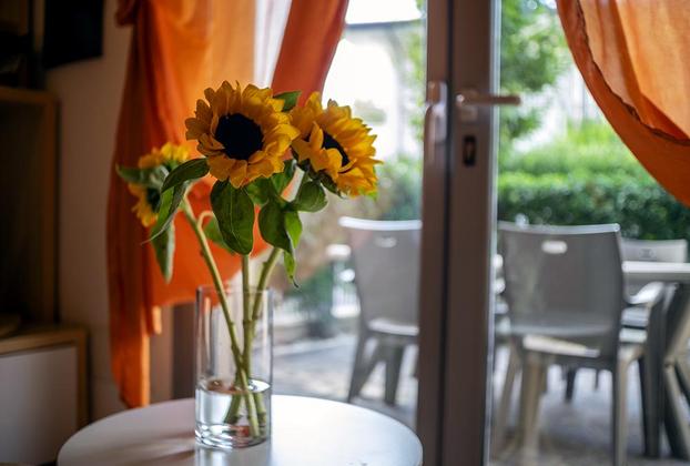 Vacanze in aquilone - Riccione | Subito