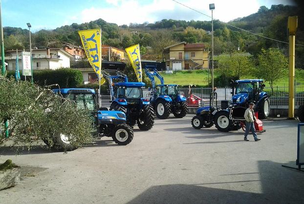 Piarulli Agrigarden srl - Manocalzati | Subito