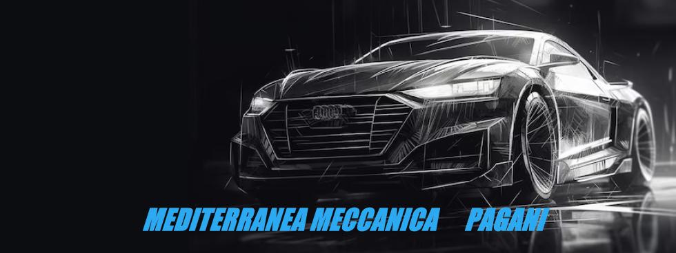 MEDITERRANEA MECCANICA  PAGANI