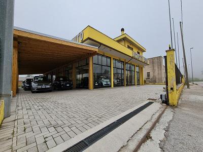 Luziotti Auto srl - Pergola | Subito