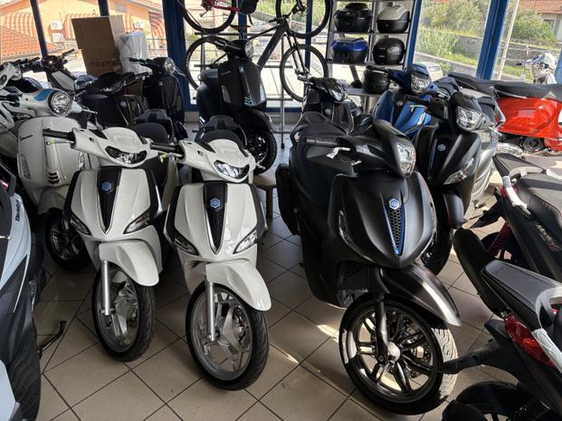 BONUCCELLI LIDIO & C. S.N.C. - Montignoso | Subito