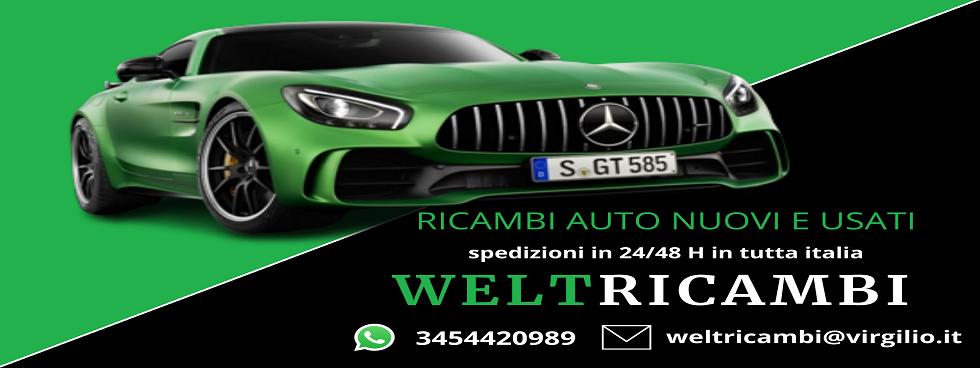 WeltRicambi 2