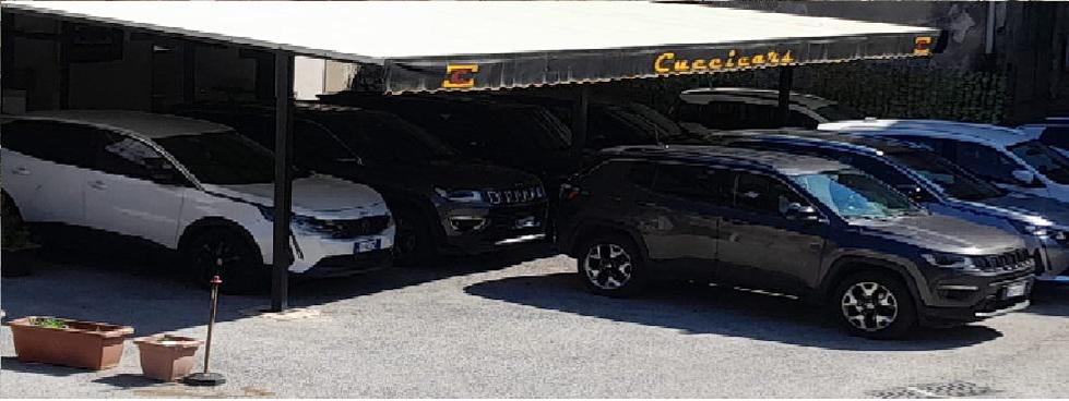CUCCICARS