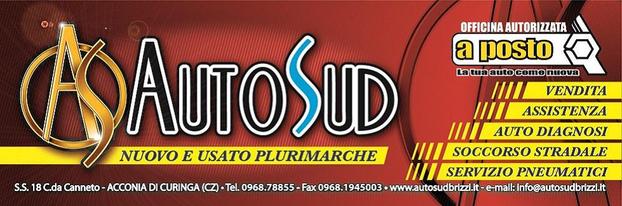 AUTOSUD BRIZZI - Curinga | Subito