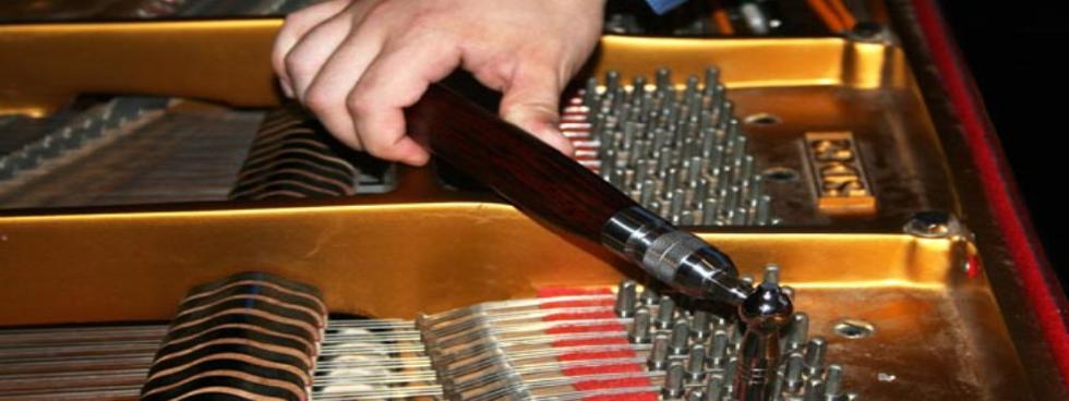 Negozio di pianoforti acustici e silent yamaha