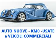 AUTONUOVE-KM0-USATE E VEICOLI COMMERCIALI logo