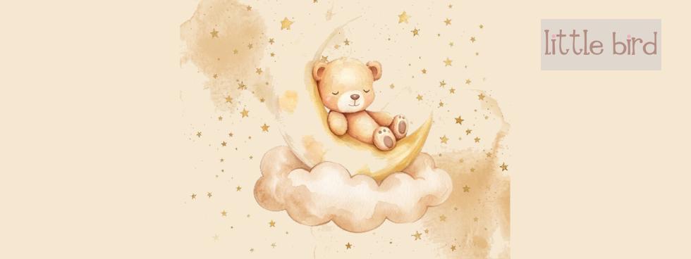 LIttle Bird:morbide storie da ricamare
