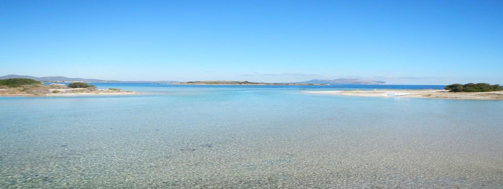 Scv service di Paolo Del Sero