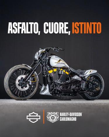 Harley Davidson Carlomagno - Rende | Subito